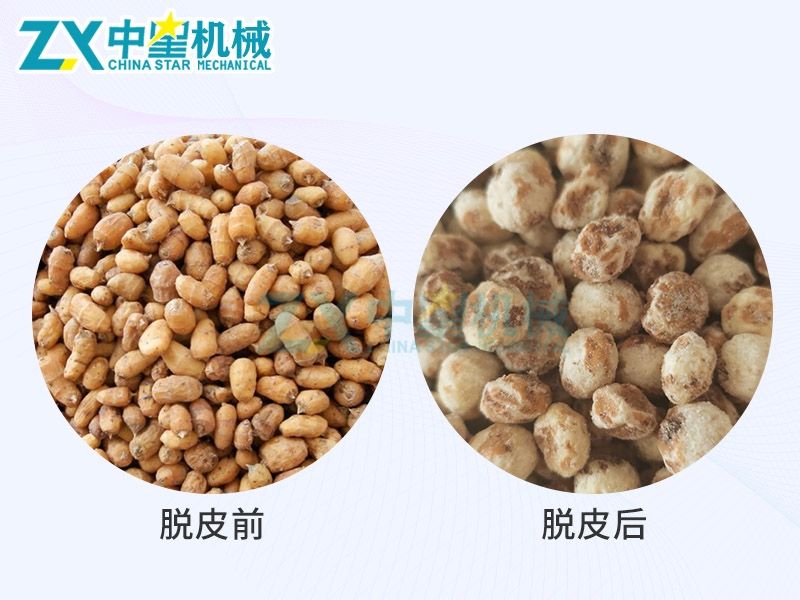 油莎豆脫皮機